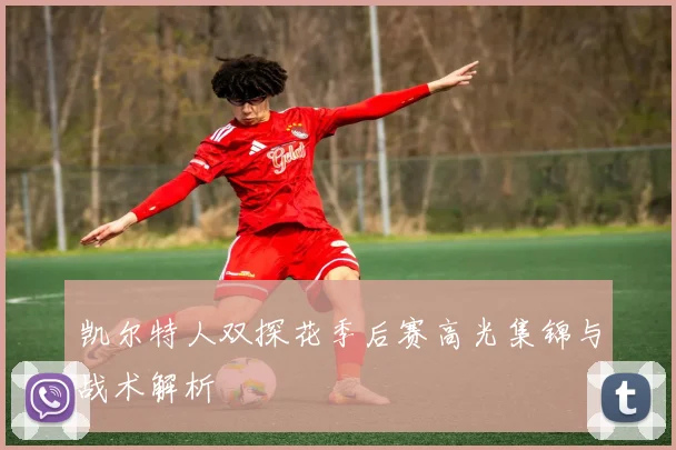 凯尔特人双探花季后赛高光集锦与战术解析