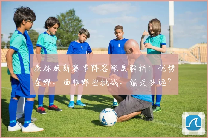 森林狼新赛季阵容深度解析：优势在哪，面临哪些挑战，能走多远？